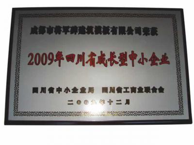 2009年四川省成长型中小企业